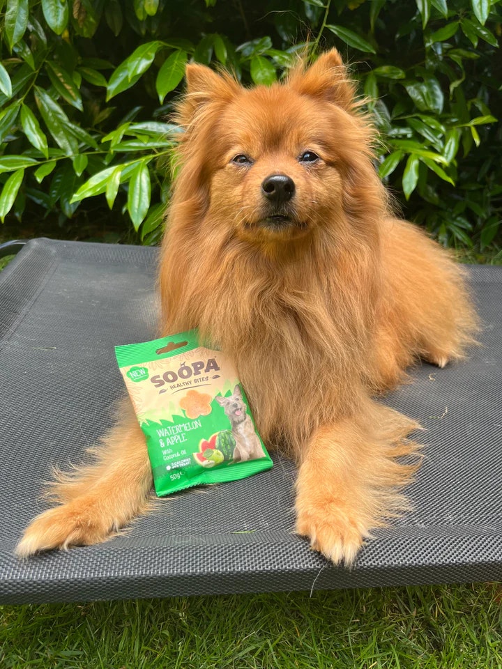 Soopa Healthy Bites Watermelon & Apple 50g (vattenmelon & äpple), veganskt