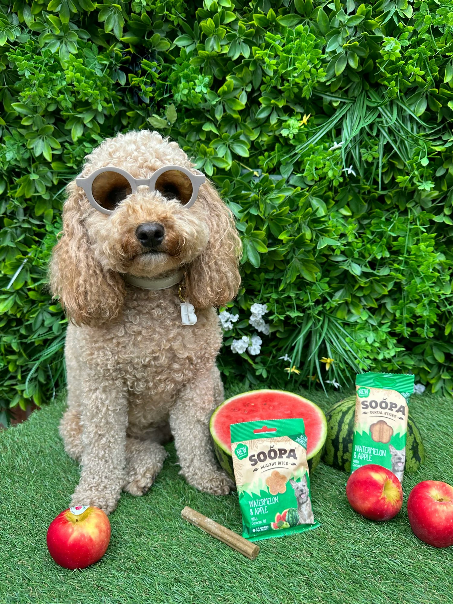 Soopa Healthy Bites Watermelon & Apple 50g (vattenmelon & äpple), veganskt
