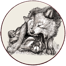 Essential Wild Boar Delights 200 Gram