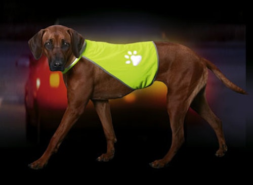 Reflexväst hund M,L,XL