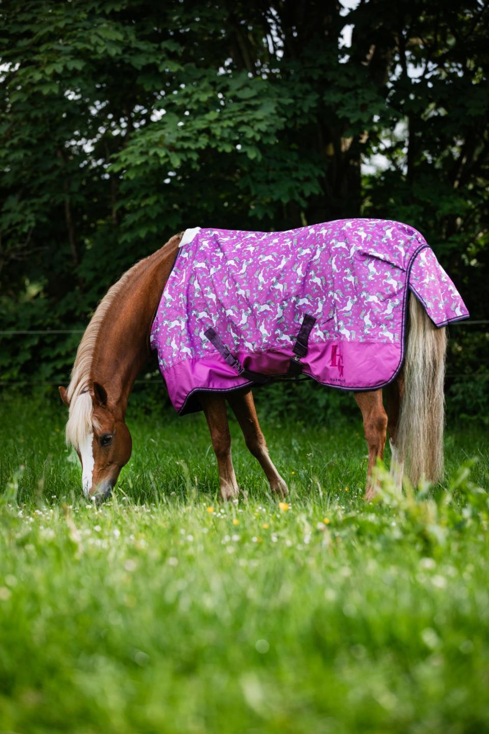 HorseGuard Josh Turnout täcke 0g Stl 85-165