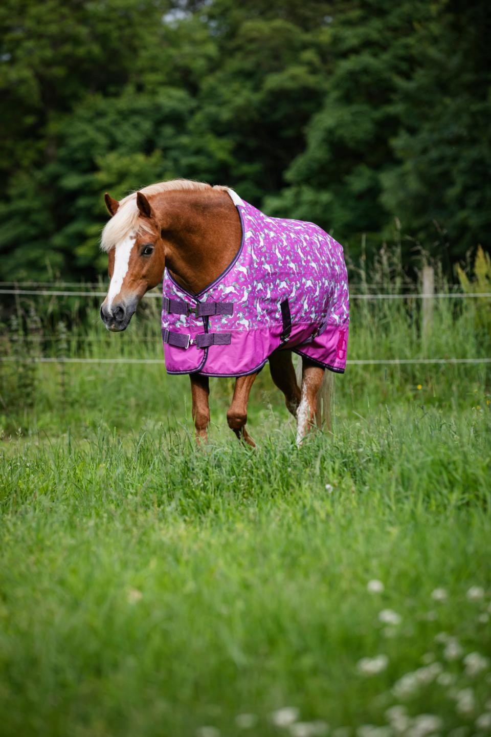 HorseGuard Josh Turnout täcke 0g Stl 85-165