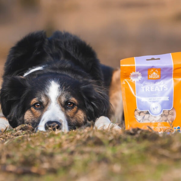MUSH TREATS FRYSTORKAT LAMM 55 gr