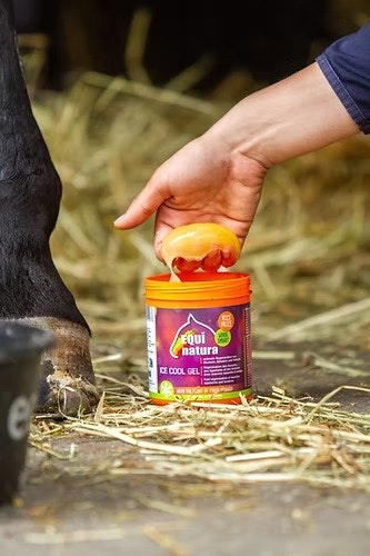 Equinatura Ice Cool Gel 600 ml