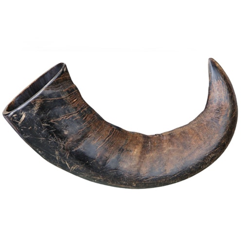 Tugghorn Buffel, Large
