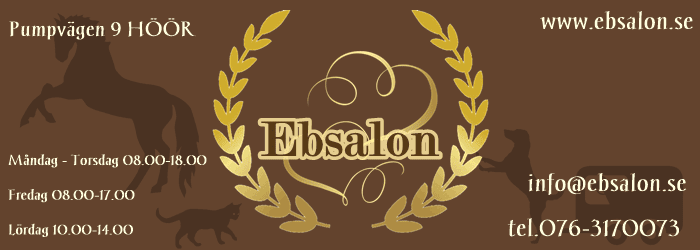 Ebsalon