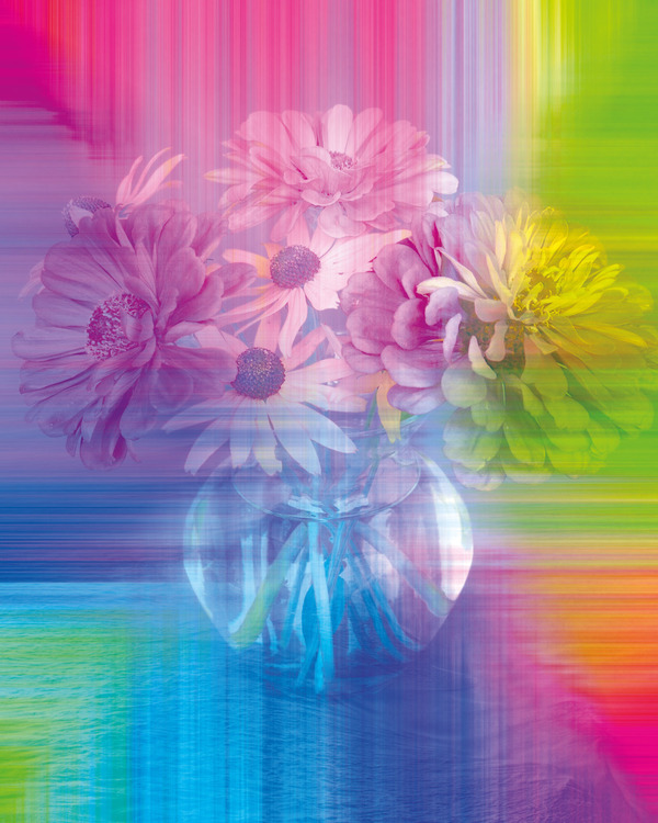 Graphic Art "Flower in Rainbow"