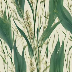 Dr Bach WILD OAT Blomessens - Hitta din väg! Meningsfull riktning i livet!