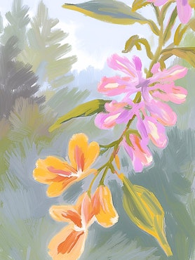 Graphic Art "Hopefulness flourishes"