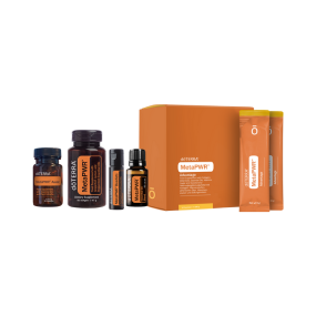 MetaPWR System Kit