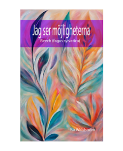 Jag ser möjligheterna - EBOK