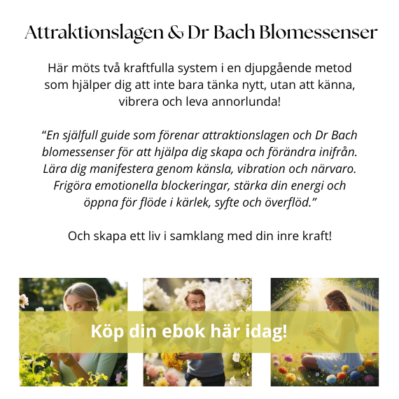 Resonans Management