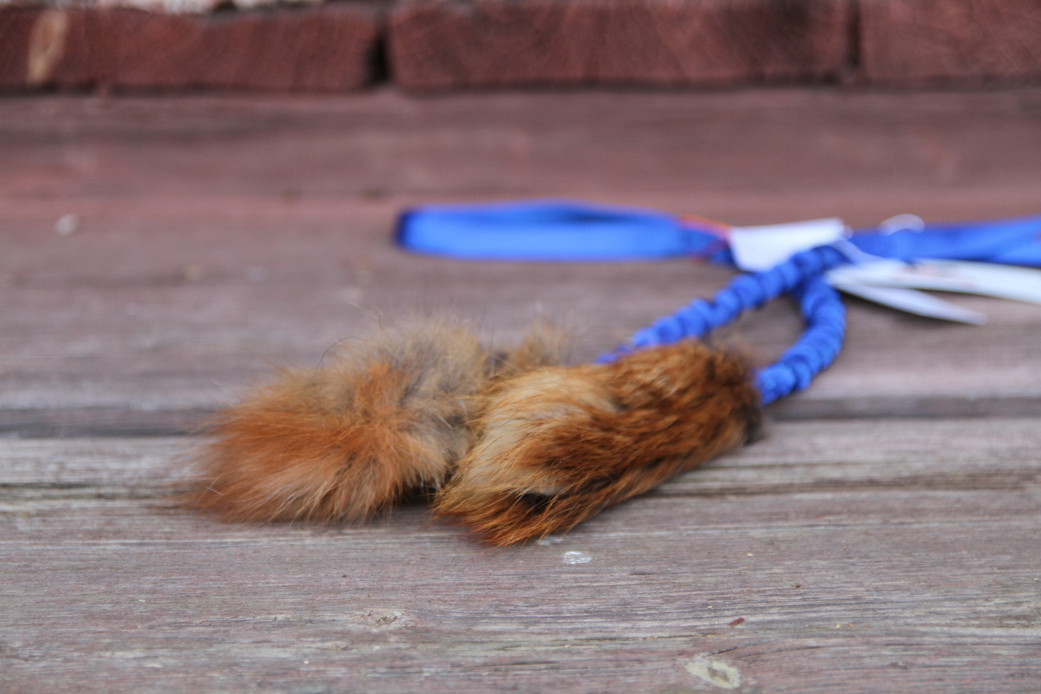 Doggie-zen's elastiska kampis - välj mellan räv eller kaninskinn