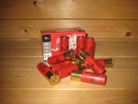 Winchester Buckshot 27H