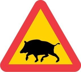 Skånejakt
