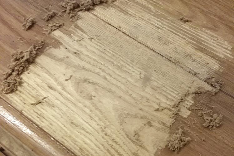 Polyvine Varnish & Paint Remover - Lack & Färgborttagning