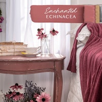 FUSION™ Mineral Paint - Enchanted Echinacea