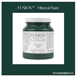 FUSION™ Mineral Paint - Pressed Fern