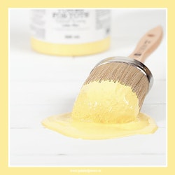 FUSION™ Mineral Paint - Little Star