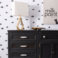 Milk Paint by FUSION™ -  Little Black Dress