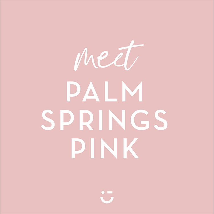 Milk Paint by FUSION™ -  Palm Springs Pink