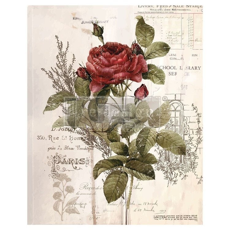 Re Design Décor Transfer - Botanical Rose