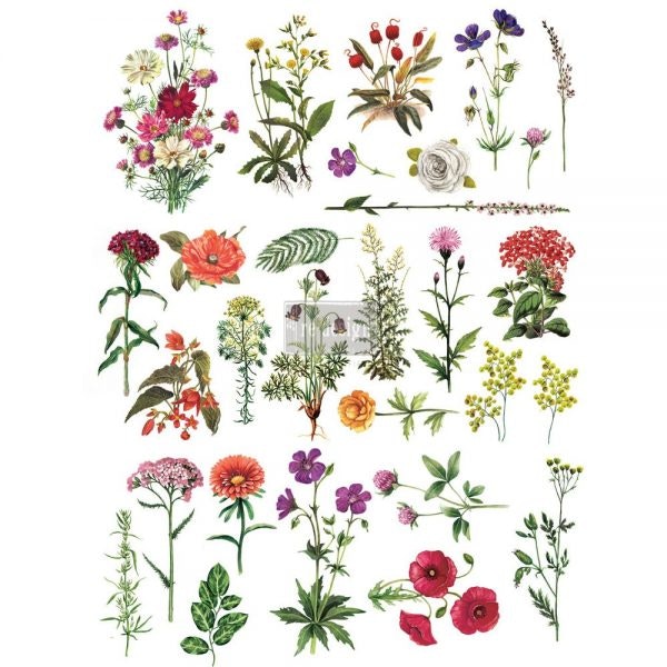 Re Design Décor Transfer - Floral Collection