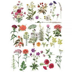 Re Design Décor Transfers® - Floral Collection ca 61x89cm