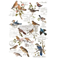 Re Design Décor Transfers® - Postal Birds ca 61x89cm