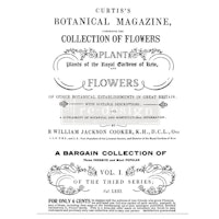 Re Design Décor Transfers® - Botanical Magazine ca 61x89cm