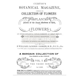Re Design Décor Transfers® - Botanical Magazine ca 61x89cm