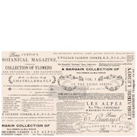 Re Design Tissue Paper - Floral Text 48x76cm