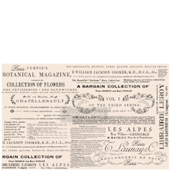 Re Design Tissue Paper - Floral Text 48x76cm