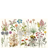 Re Design Tissue Paper - Wild Herbs 48x76cm