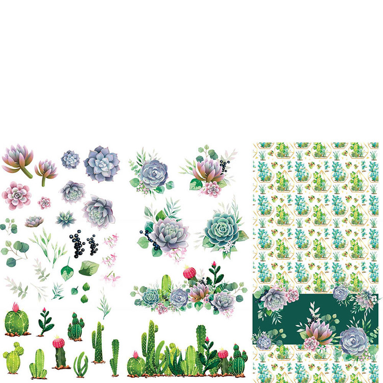 Belles and Whistles Transfer - Cacti and Succulents