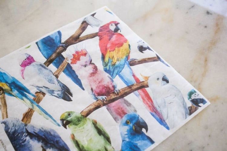 Belles & Whistles Rice Paper - BIRDS - Decoupagepapper