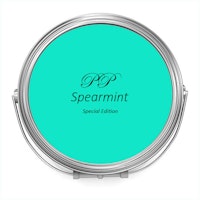 Autentico® VINTAGE -  PP Spearmint