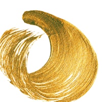 Polyvine® Metallic Paint BRIGHT GOLD (guld)