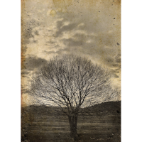 MINT - A3 Decoupagepapper (ca 30x42cm) - SEPIA TREE