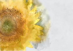 MINT - A3 Decoupagepapper (ca 30x42cm) - SUNFLOWER