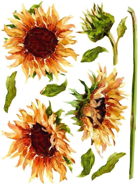 IOD Decor Transfer - PAINTERLY FLORALS