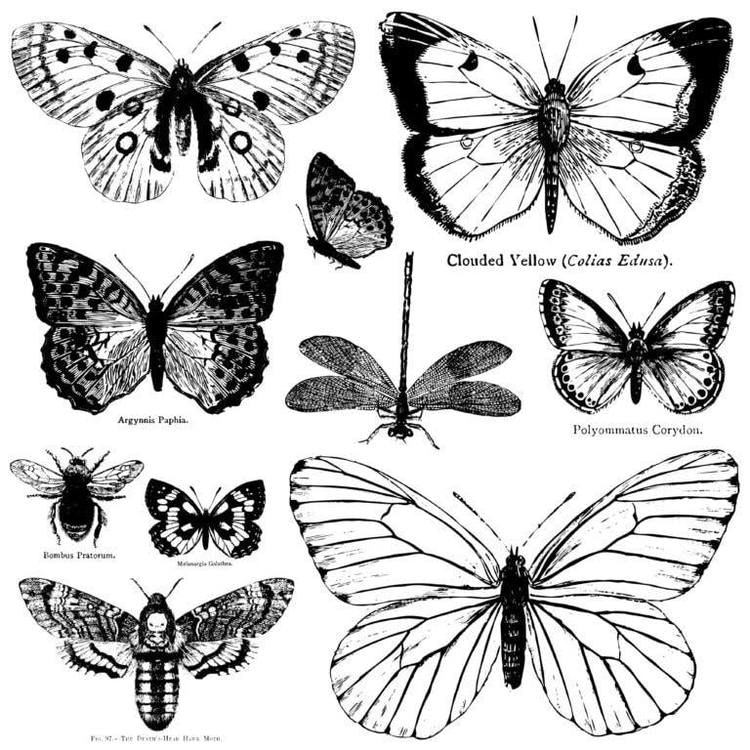 IOD Dekorstämpel - Butterflies