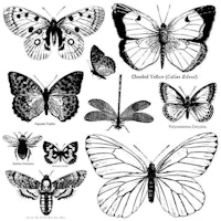 IOD Dekorstämpel - Butterflies 30x30cm