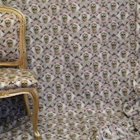 Van Asch Textil Metervara - Golden Skulls (organic)