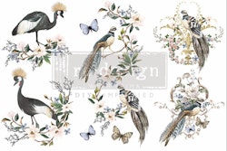 Re Design Décor Transfers® - Rare Birds - LITEN ca 30x46cm