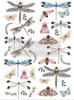 Re Design Décor Transfers® - Riverbed Dragonflies ca 61x89cm