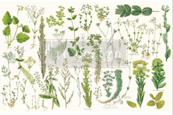 Re Design Tissue Paper - Greenery ca 48x76cm