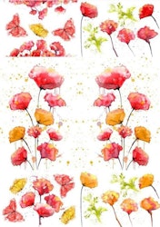 MINT By Michelle Transfer - PEACEFUL POPPIES - A1 ca 84x59cm