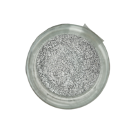 Posh Chalk® Pigments - Metallpigment - SILVER