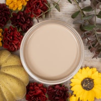 Dixie Belle CHALK Mineral Paint - Limited Edition- LATTE